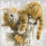 pic for Sweet cat